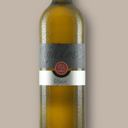 Rinot Trocken Bio Weingut Mühlmichel Kirchheim Pfalz