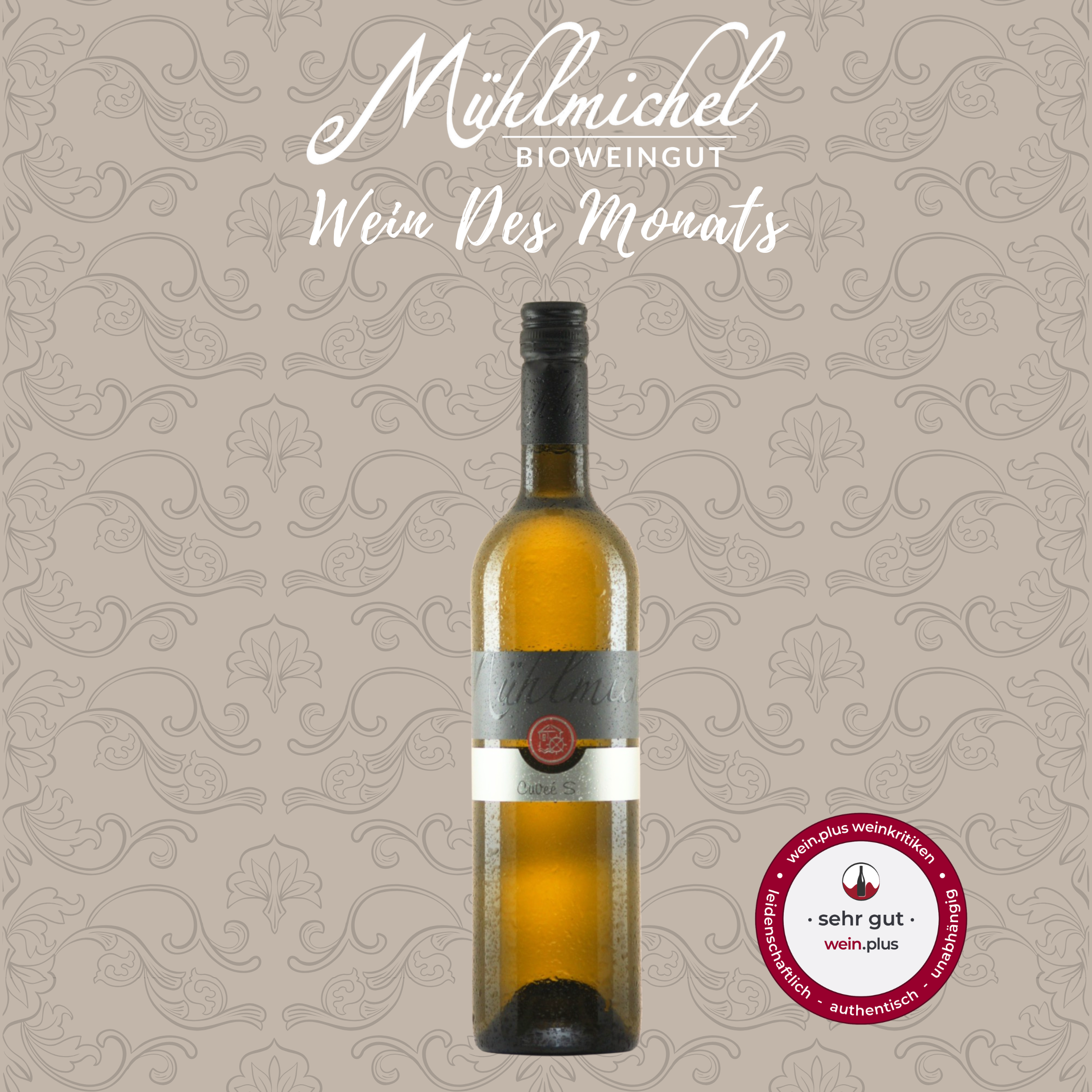 Wein des Monats 6 Flaschen