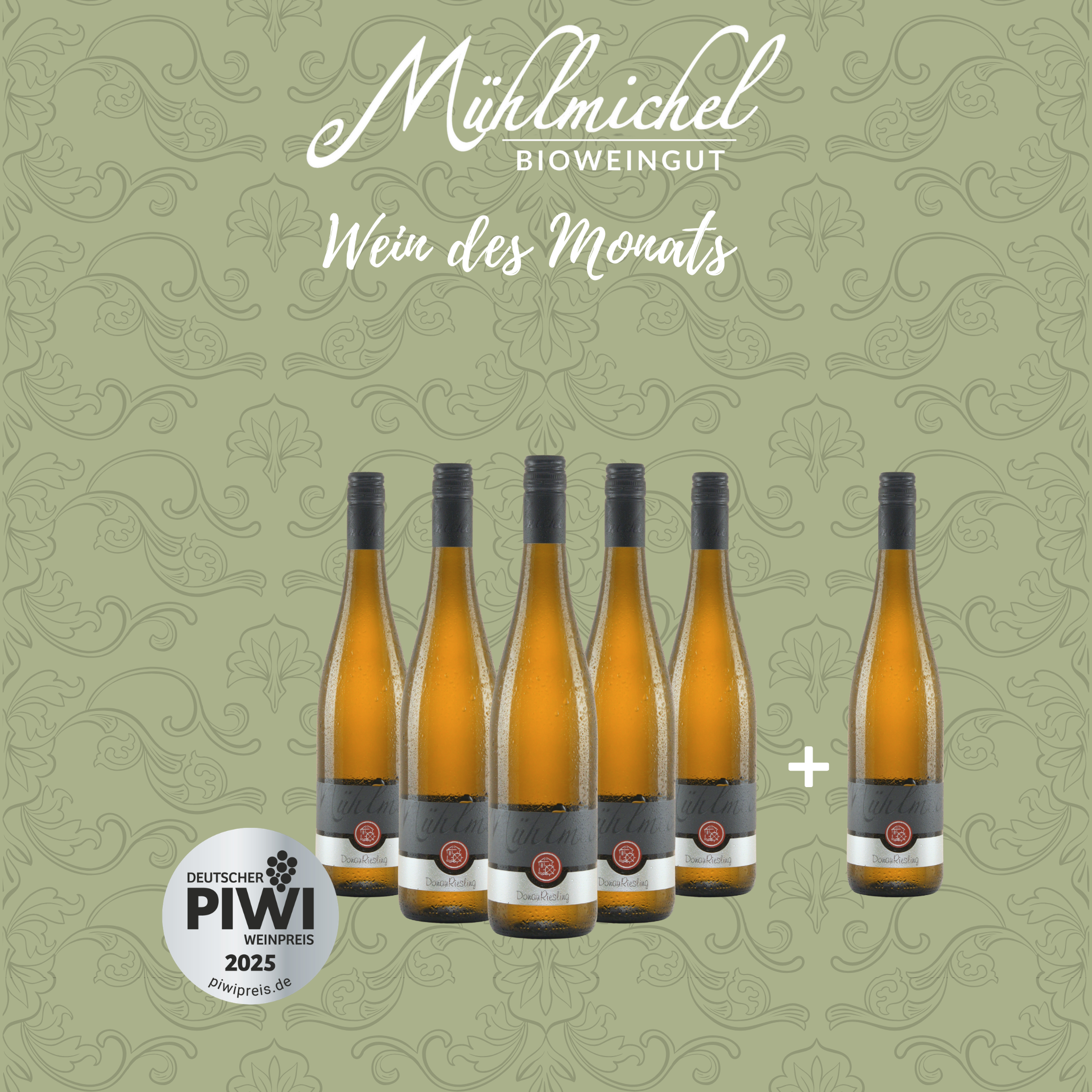 Wein des Monats 6 Flaschen