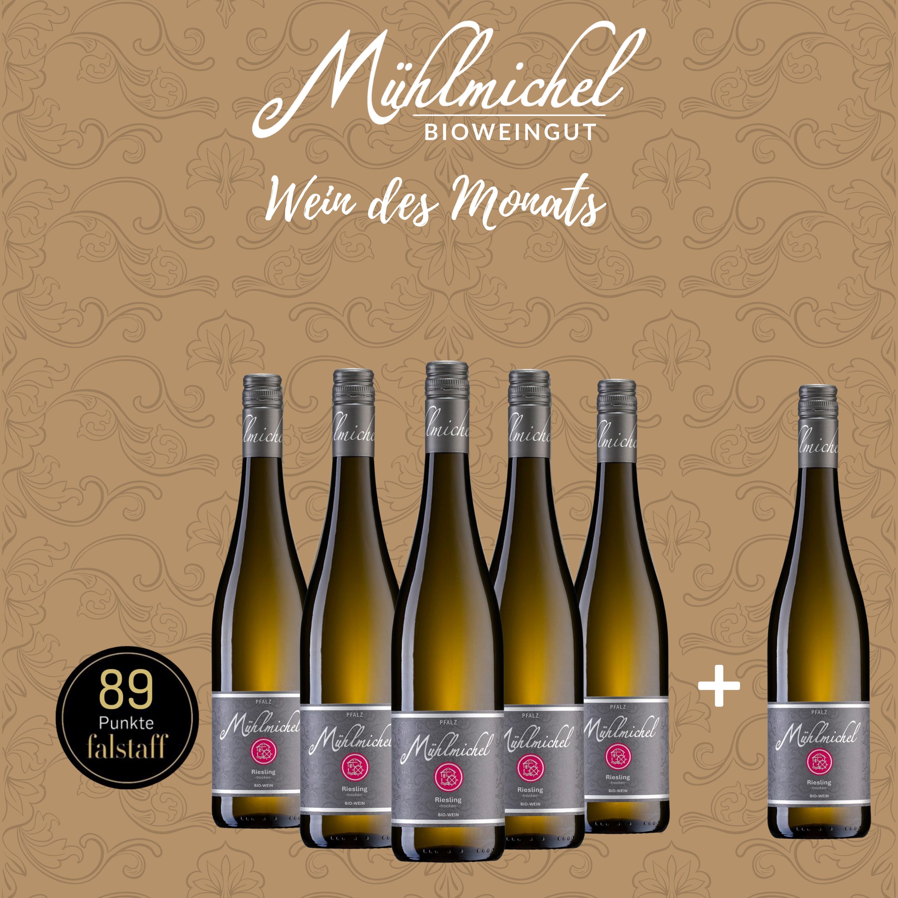 Wein des Monats 6 Flaschen