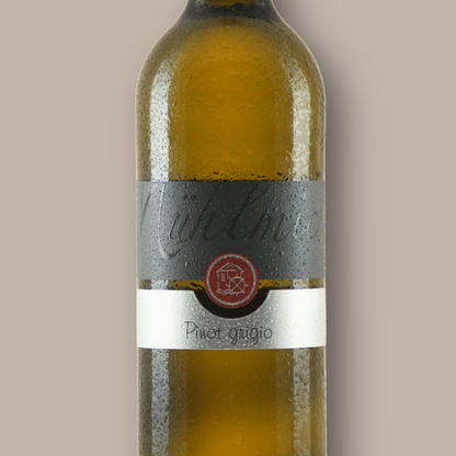 Grauburgunder trocken Bio Weingut Muehlmichel Kirchheim Pfalz