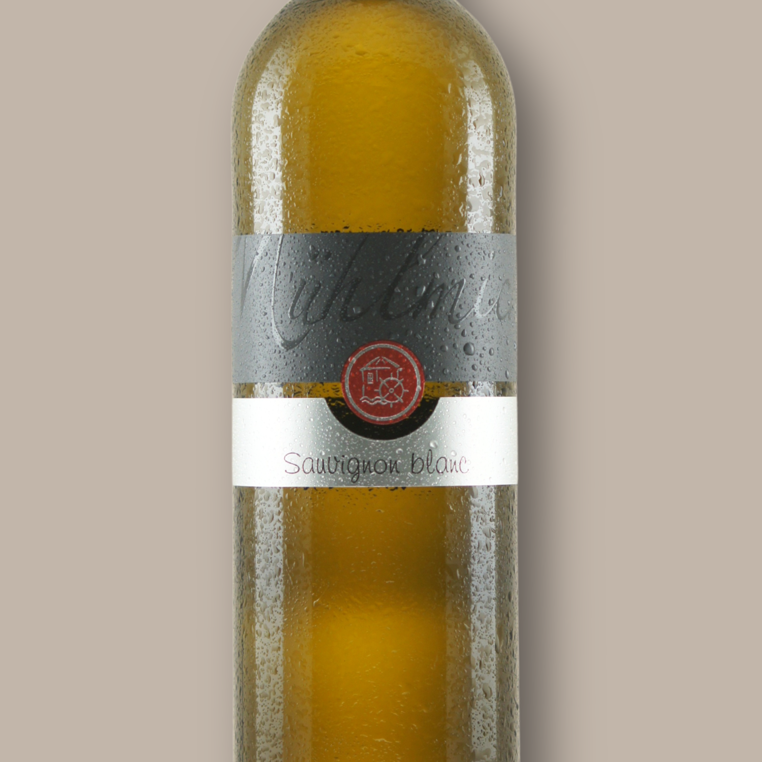 Sauvignon blanc trocken Bio Weingut Muehlmichel Kirchheim Pfalz 